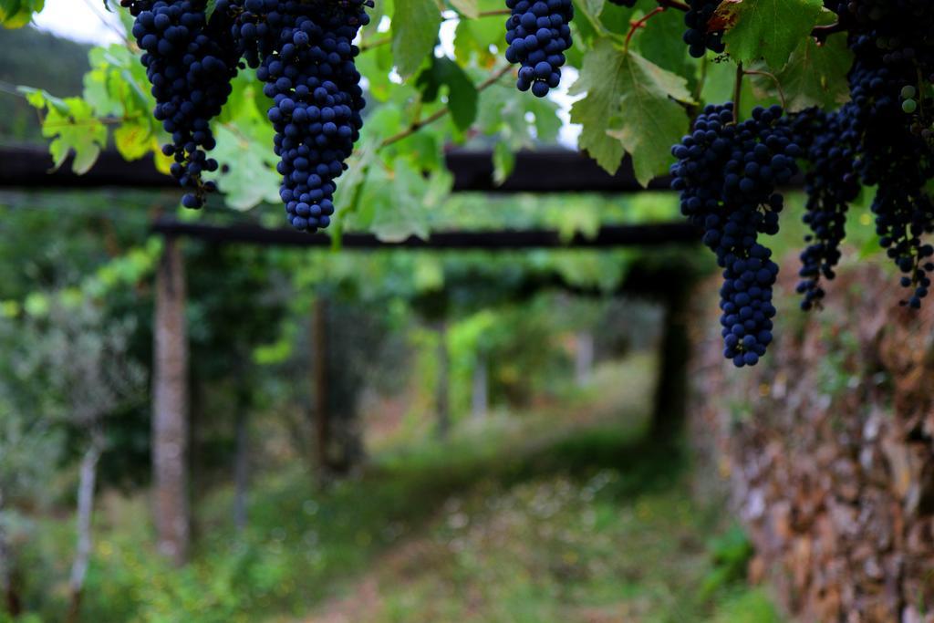 Villa Quinta De Gildinho Esterno foto