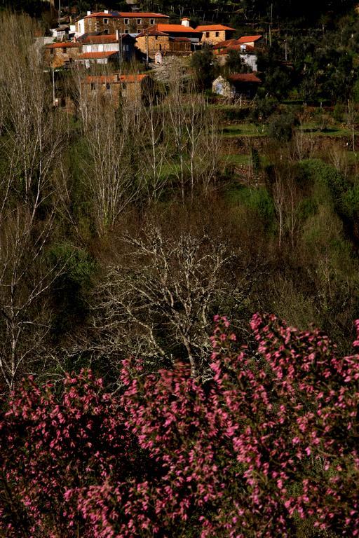 Villa Quinta De Gildinho Esterno foto